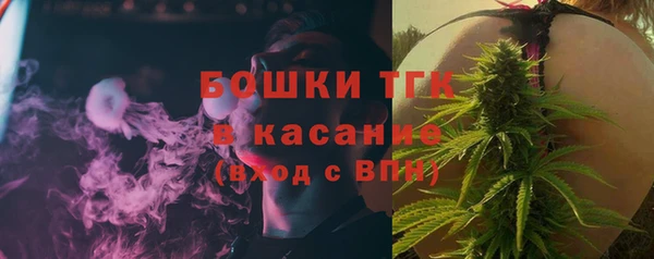шишки Алзамай