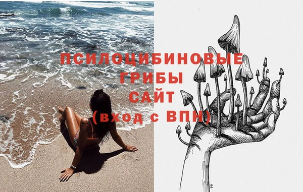 шишки Алзамай