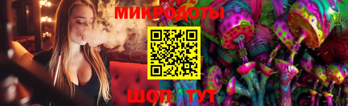 Тихвин  Псилоцибиновые грибы Psilocybine cubensis  Вход с VPN 