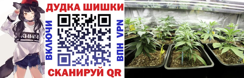Бошки Шишки гибрид  Тихвин 